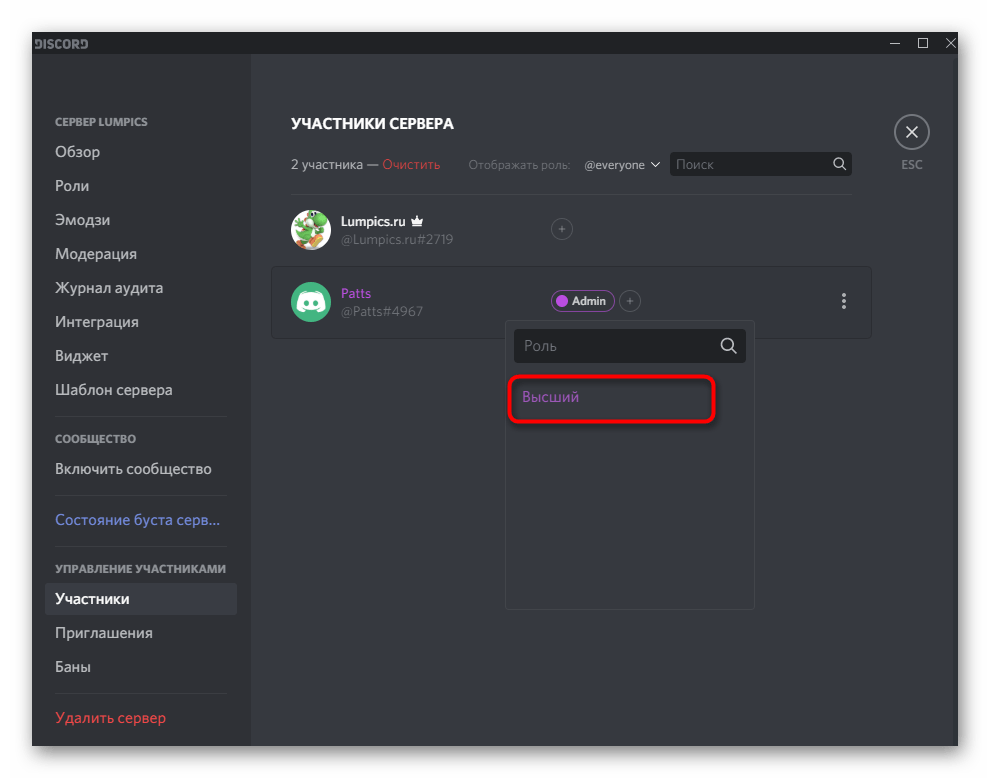 discord_translycii_8