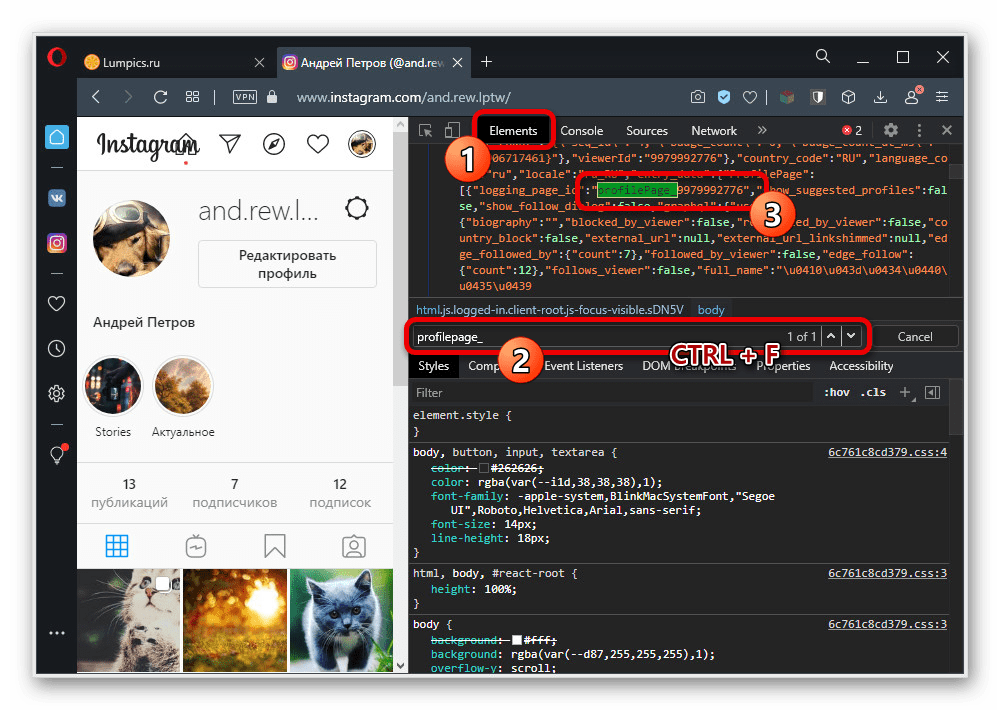 instagram_poisk_id_3
