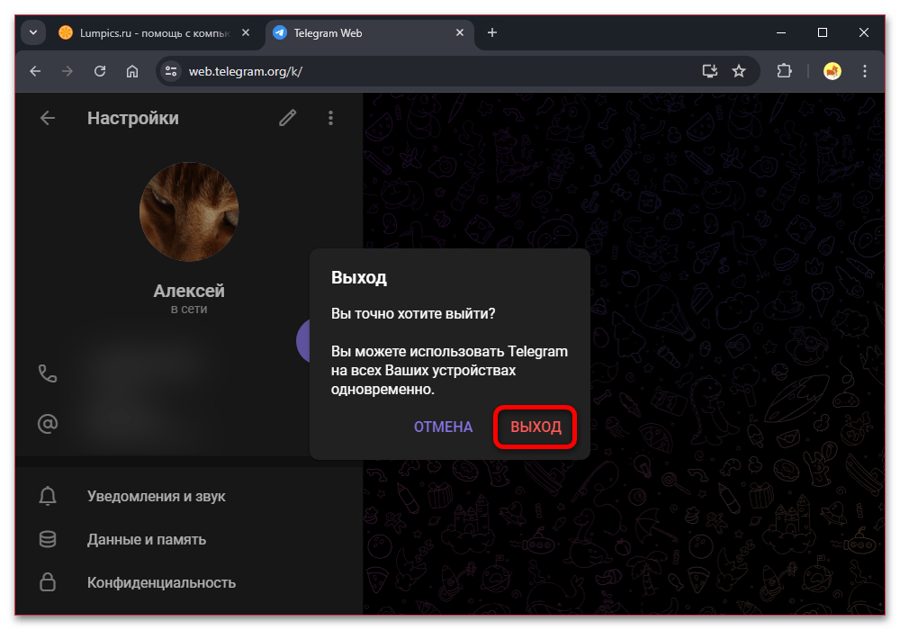 telegram_web_seansy_2