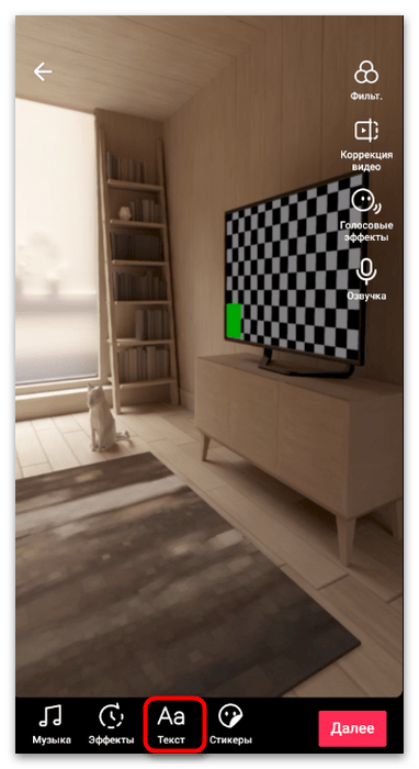 tiktok_tekstovye_elementy_2